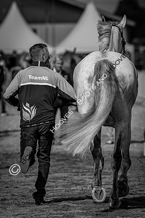 The FEI World Championships Herning 2022