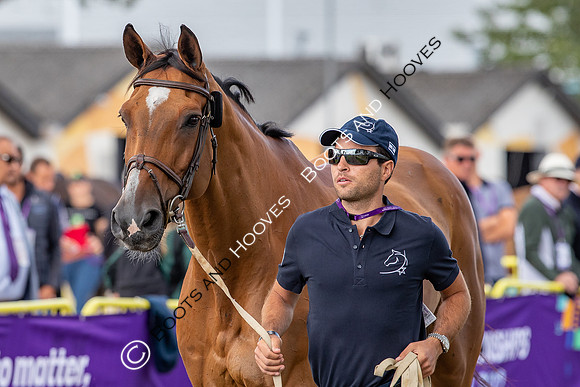 The FEI World Championships Herning 2022