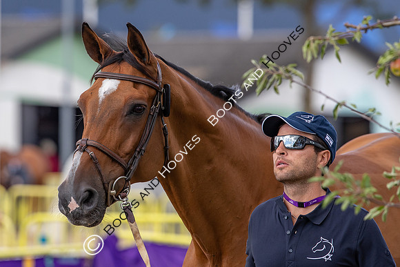 The FEI World Championships Herning 2022