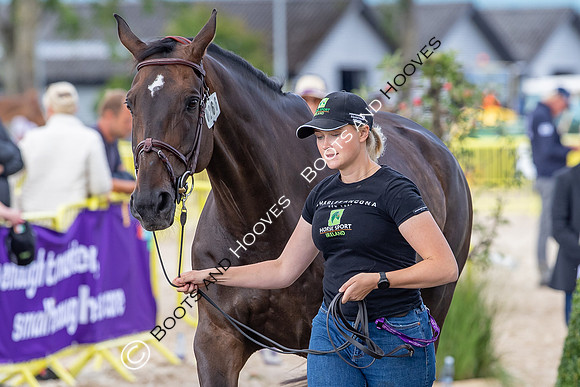 The FEI World Championships Herning 2022