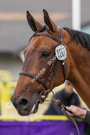 The FEI World Championships Herning 2022