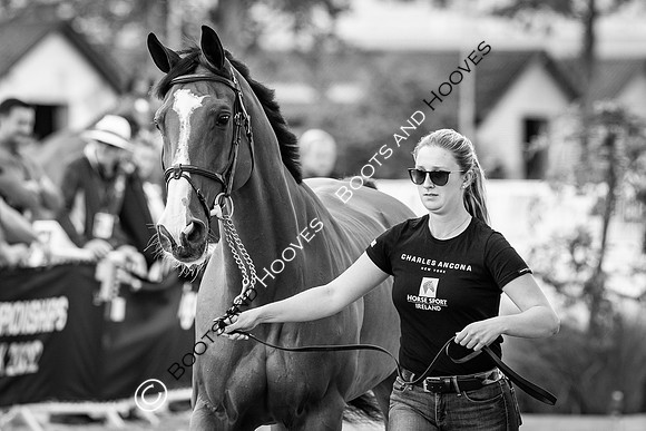 The FEI World Championships Herning 2022