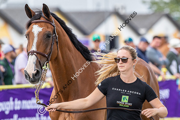 The FEI World Championships Herning 2022