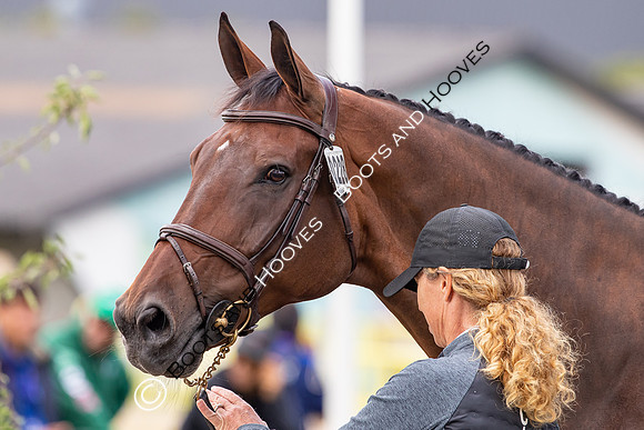 The FEI World Championships Herning 2022