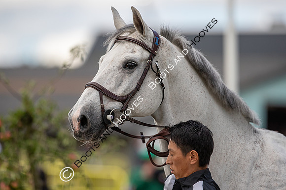 The FEI World Championships Herning 2022