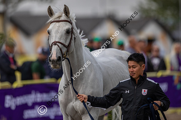 The FEI World Championships Herning 2022