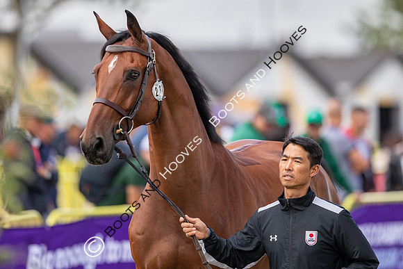 The FEI World Championships Herning 2022