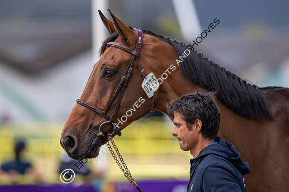 The FEI World Championships Herning 2022