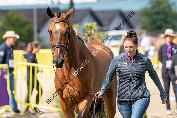 The FEI World Championships Herning 2022