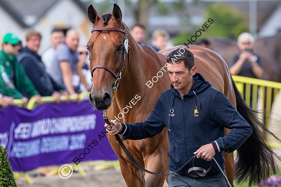 The FEI World Championships Herning 2022