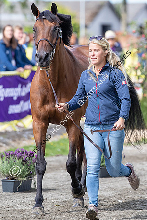 The FEI World Championships Herning 2022