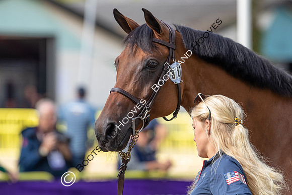 The FEI World Championships Herning 2022