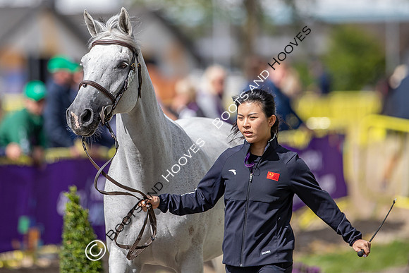 The FEI World Championships Herning 2022