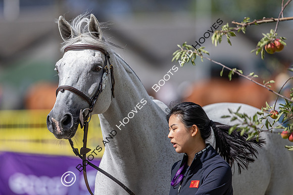 The FEI World Championships Herning 2022