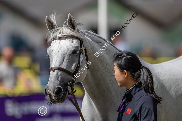 The FEI World Championships Herning 2022