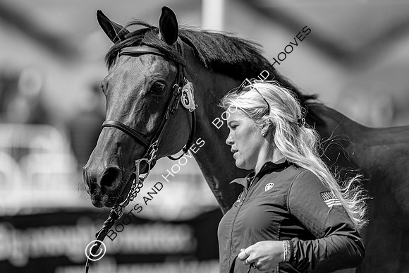 The FEI World Championships Herning 2022