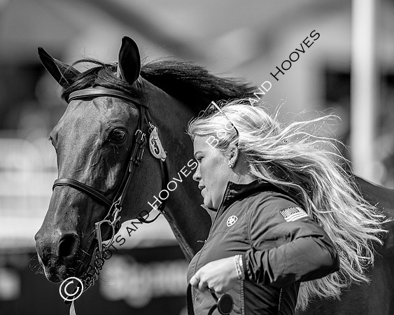 The FEI World Championships Herning 2022