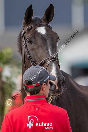 The FEI World Championships Herning 2022