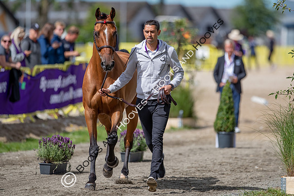 The FEI World Championships Herning 2022