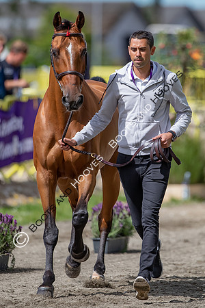 The FEI World Championships Herning 2022