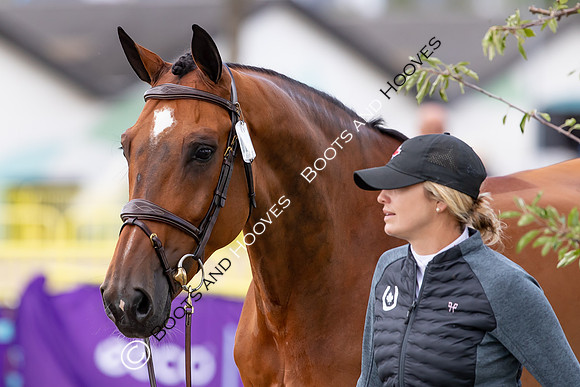 The FEI World Championships Herning 2022