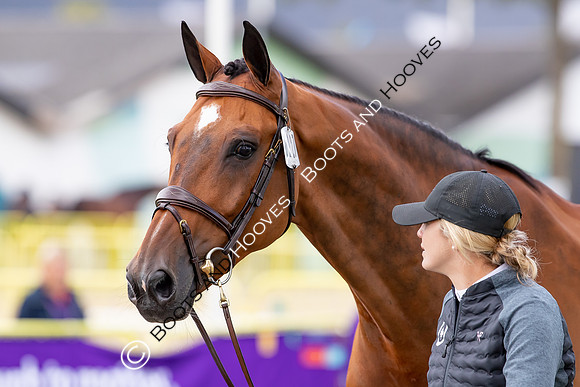 The FEI World Championships Herning 2022