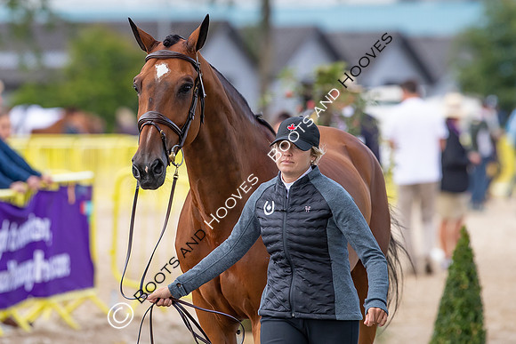 The FEI World Championships Herning 2022
