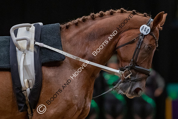 The FEI World Championships Herning 2022