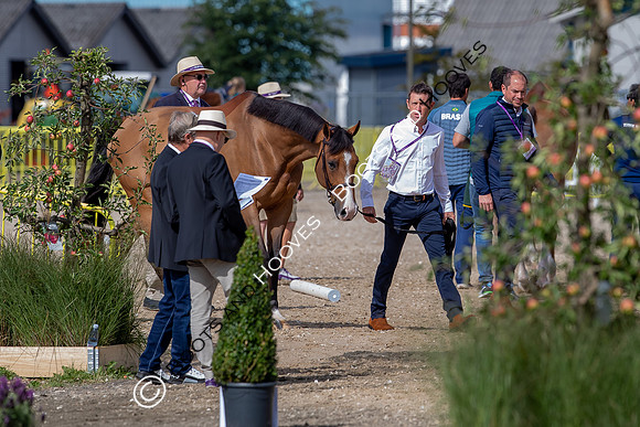 The FEI World Championships Herning 2022