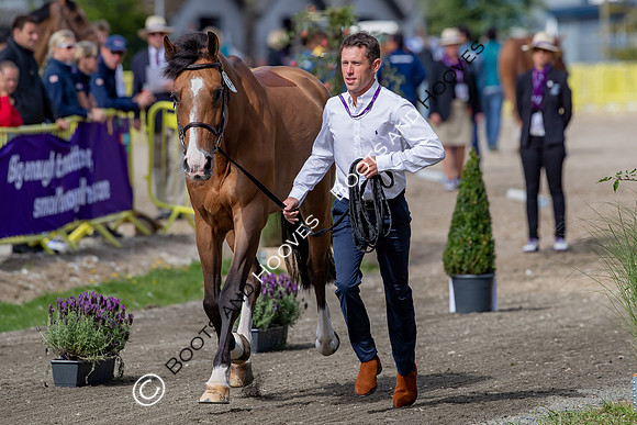 The FEI World Championships Herning 2022