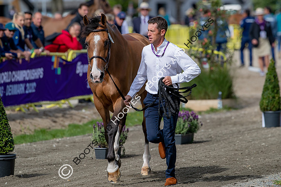 The FEI World Championships Herning 2022