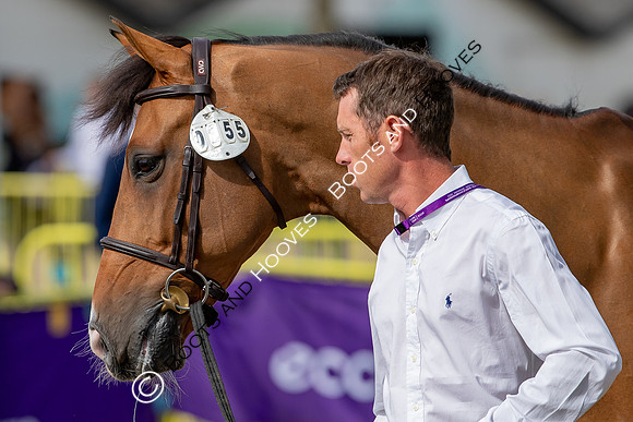 The FEI World Championships Herning 2022