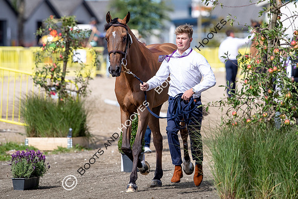 The FEI World Championships Herning 2022