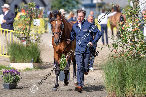 The FEI World Championships Herning 2022