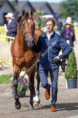 The FEI World Championships Herning 2022