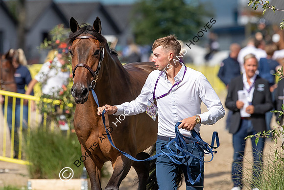 The FEI World Championships Herning 2022