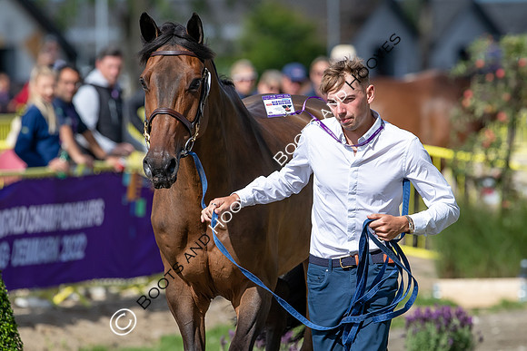 The FEI World Championships Herning 2022