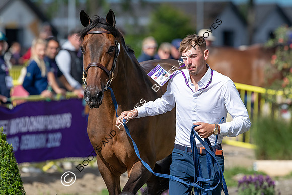 The FEI World Championships Herning 2022