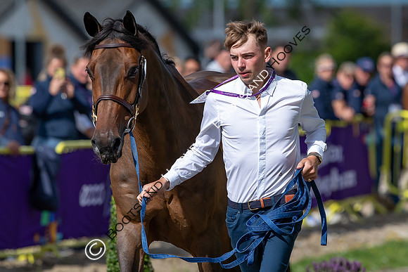 The FEI World Championships Herning 2022