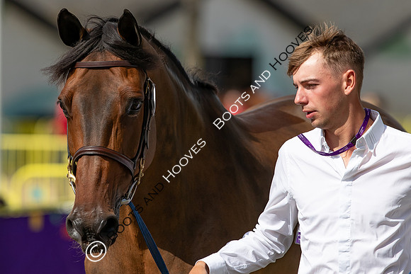 The FEI World Championships Herning 2022