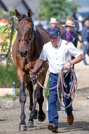 The FEI World Championships Herning 2022