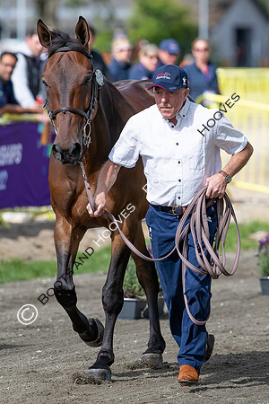 The FEI World Championships Herning 2022