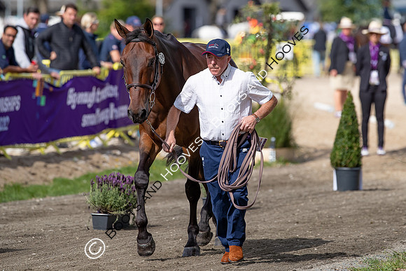 The FEI World Championships Herning 2022