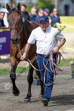 The FEI World Championships Herning 2022