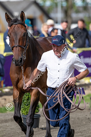The FEI World Championships Herning 2022