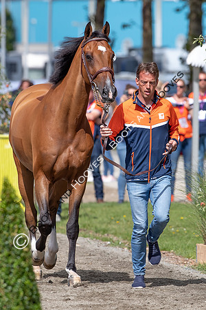 The FEI World Championships Herning 2022