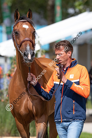 The FEI World Championships Herning 2022