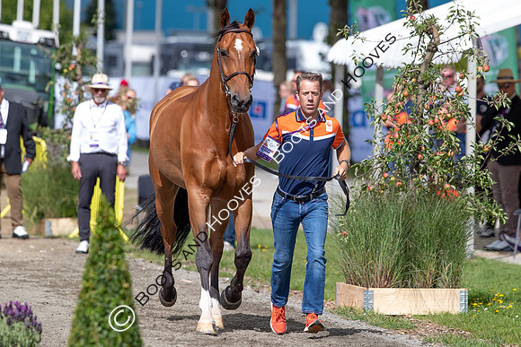 The FEI World Championships Herning 2022