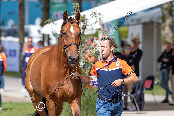 The FEI World Championships Herning 2022