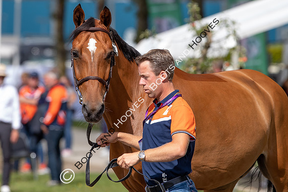 The FEI World Championships Herning 2022
